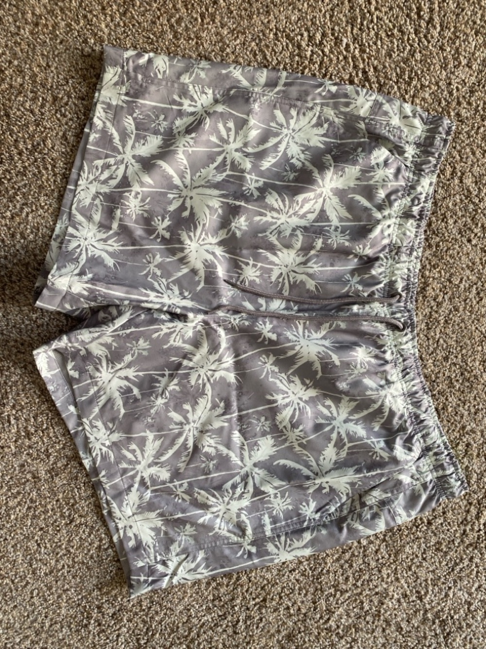 DSG Men's Palm-Print Swim Trunks - Gray & Pale Green XXL